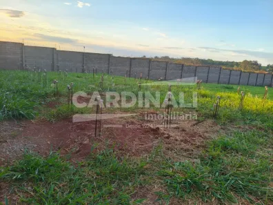 Lote/Terreno à venda, 268m² no Jardim São Camilo, Araraquara