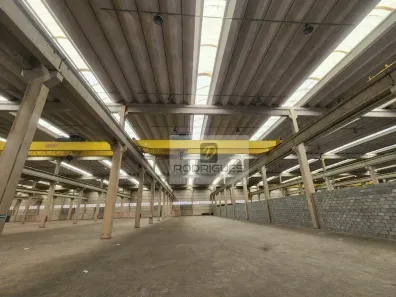 Galpão/Depósito/Armazém para alugar, 10000m² no Vila Alpina, São Paulo