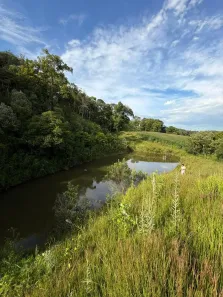 Fazenda/Sítio à venda, 20000m² no , Campo Alegre