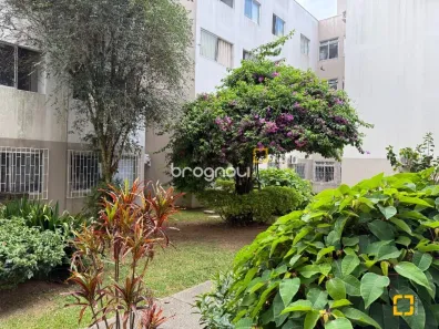 Apartamento com 3 Quartos à venda, 60m² no Itacorubi, Florianópolis