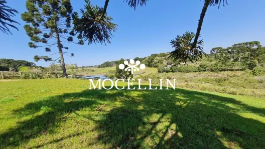 Lote/Terreno à venda, 21250m² no Borda do Campo, São José dos Pinhais