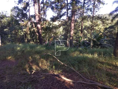 Lote/Terreno à venda, 7159m² no Taboleiro Verde, Cotia