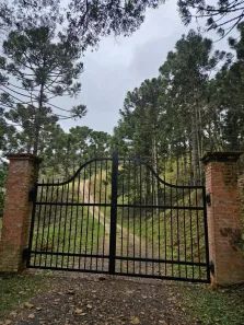 Lote/Terreno à venda, 20000m² no , Campo Alegre