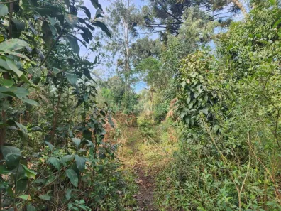 Lote/Terreno à venda, 50545m² no Salgado Filho, Caxias do Sul