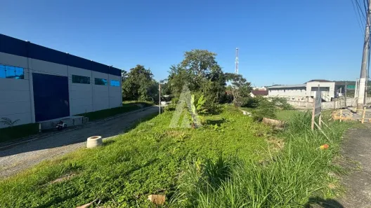 Lote/Terreno à venda, 600m² no Anita Garibaldi, Joinville