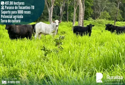 Fazenda/Sítio à venda, 497m² no , Monte Santo do Tocantins