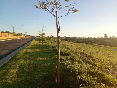 Lote/Terreno à venda, 412m² no Alphaville Dom Pedro, Campinas