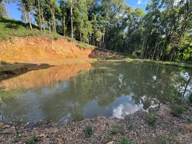 Fazenda/Sítio com 3 Quartos à venda, 185m² no Bugre, Balsa Nova