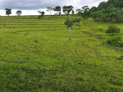 Fazenda/Sítio com 1 Quarto à venda, 60000m² no , Terezópolis de Goiás