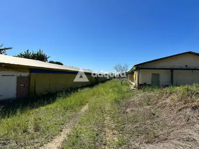 para alugar, 2400m² no Guaragi, Ponta Grossa