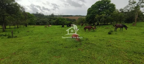 Fazenda/Sítio com 2 Quartos à venda, 80000m² no , Carmópolis de Minas