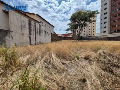 Lote/Terreno à venda, 561m² no Jardim Amália, Bauru