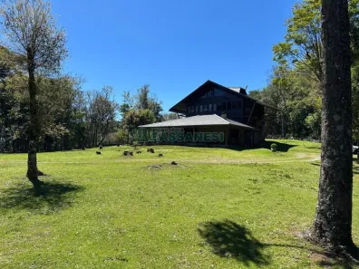 Fazenda/Sítio com 2 Quartos à venda, 300m² no Sao Gotardo, Flores da Cunha