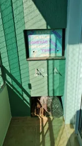 Apartamento com 2 Quartos à venda, 58m² no Camobi, Santa Maria