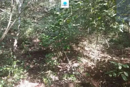 Lote/Terreno à venda, 12000m² no Centro, Anápolis