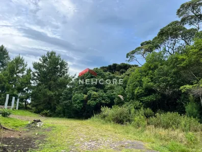 Lote/Terreno à venda, 680m² no Centro, São Francisco de Paula