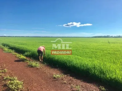 Fazenda/Sítio à venda, 7260000m² no , Lagoa da Confusão