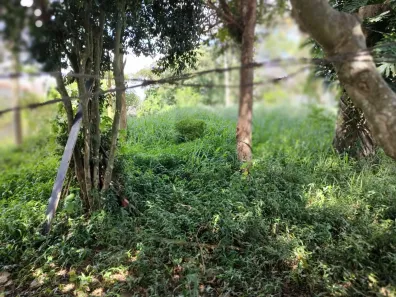 Lote/Terreno à venda, 1080m² no Vila Albertina, São Paulo