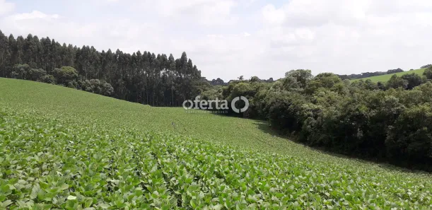 Fazenda/Sítio à venda, 48463m² no , Contenda