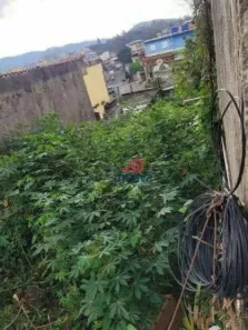 Lote/Terreno à venda, 200m² no Jardim Lenize, Guarulhos