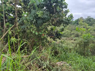 Lote/Terreno à venda, 250m² no Vila São Paulo, Mogi das Cruzes