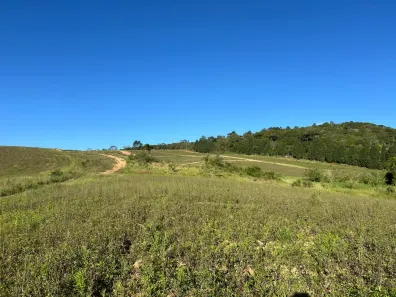 Lote/Terreno à venda, 500m² no Nhambuca ( Caucaia do Alto), Cotia