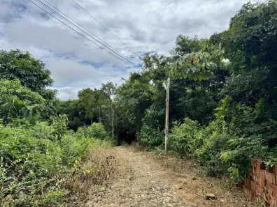 Lote/Terreno à venda, 2000m² no , Mulungu