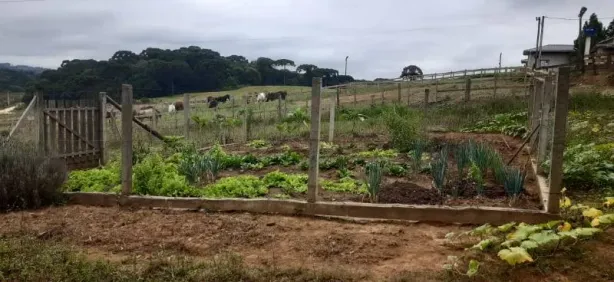 Fazenda/Sítio com 2 Quartos à venda, 24100m² no , Contenda
