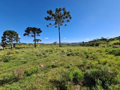 Fazenda/Sítio à venda, 400000m² no Santa Izabel, São Joaquim