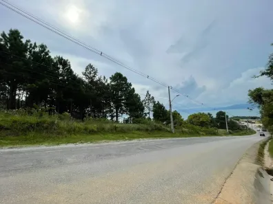 Lote/Terreno à venda, 2133m² no Ganchos de Fora, Governador Celso Ramos