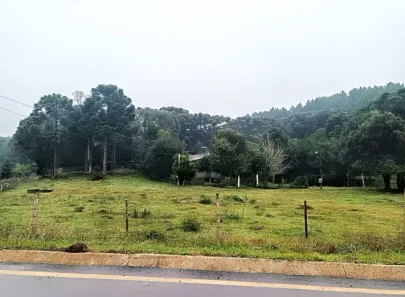 Fazenda/Sítio com 1 Quarto à venda, 50m² no Banhado Grande, Canela