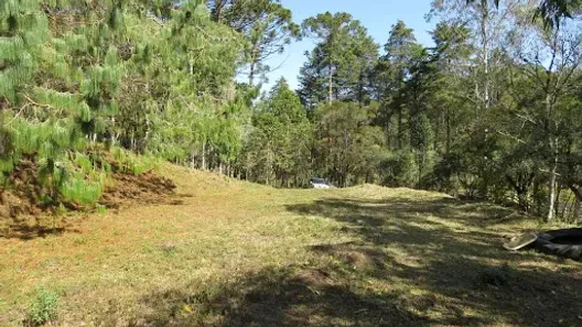 Lote/Terreno à venda, 38000m² no Paiol, Sapucaí-Mirim