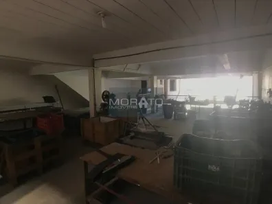 Imóvel Comercial com 3 Quartos à venda, 320m² no Cândida Ferreira, Contagem
