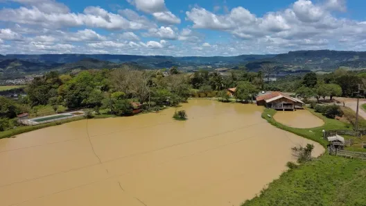 Fazenda/Sítio com 4 Quartos à venda, 200000m² no , Lontras