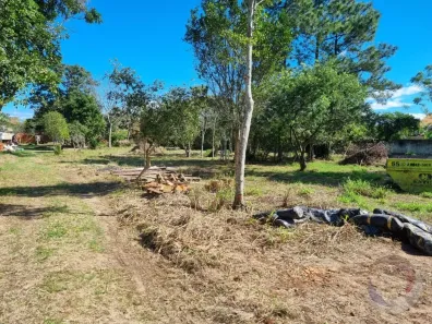 Lote/Terreno à venda, 4122m² no Campeche, Florianópolis