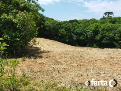 Fazenda/Sítio à venda, 23482m² no Área Rural de Araucária, Araucária
