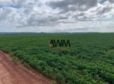 Fazenda/Sítio à venda, 57520000m² no Potosi, Balsas