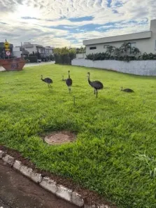 Lote/Terreno à venda, 713m² no Condomínio do Lago 1ª Etapa, Goiânia