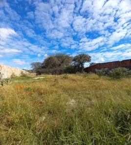 Lote/Terreno à venda, 1000m² no Trevo, Belo Horizonte