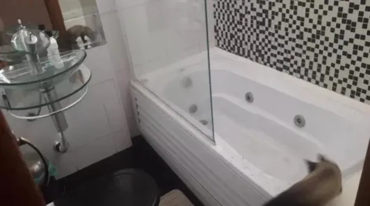 Casa com 3 Quartos à venda, 160m² no Socorro, São Paulo