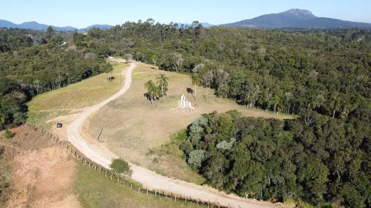 Fazenda/Sítio à venda, 5000m² no Palmitalzinho, Quatro Barras