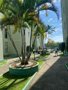 Apartamento com 2 Quartos à venda, 54m² no Parque Independencia, São José dos Campos