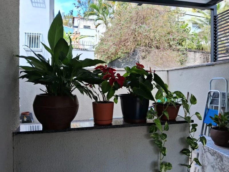 Foto 6