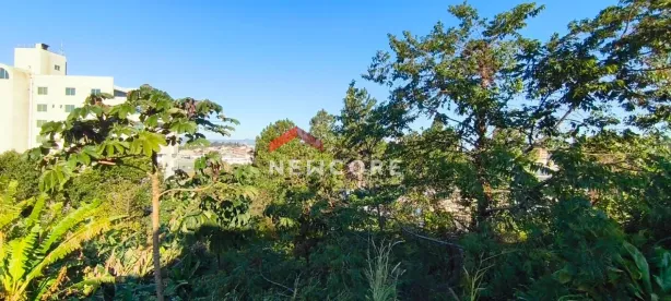 Casa com 3 Quartos à venda, 175m² no Serraria, São José