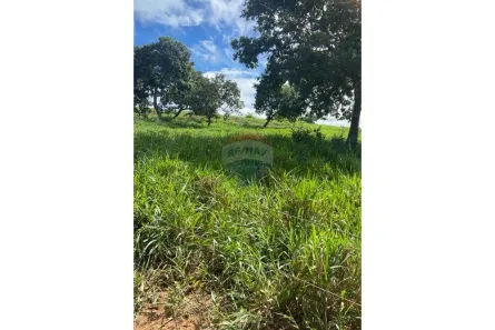 Fazenda/Sítio à venda, 160000m² no Jardim Marajó, Rondonópolis