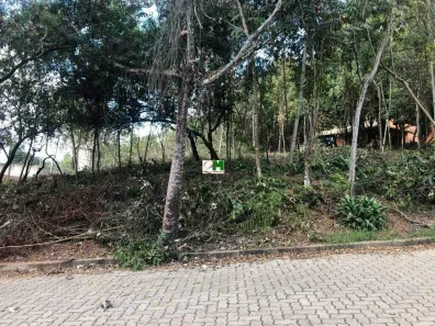 Lote/Terreno à venda, 1000m² no Pasárgada, Nova Lima