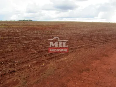 Fazenda/Sítio à venda, 500m² no , Quirinópolis