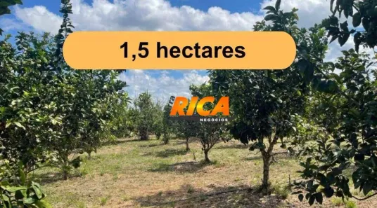 Fazenda/Sítio com 3 Quartos à venda, 10000m² no Área Rural, Canutama