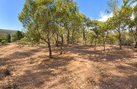 Lote/Terreno à venda, 2583m² no Pedro do Rio, Petrópolis