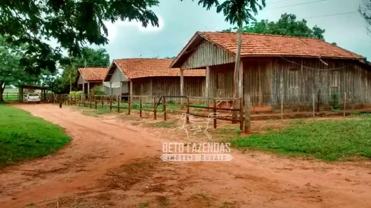 Fazenda/Sítio à venda, 36300000m² no , São Miguel Arcanjo